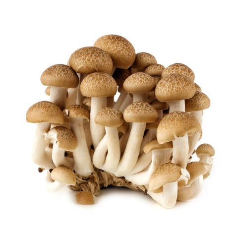 Brown Shimeiji Mushrooms 150g