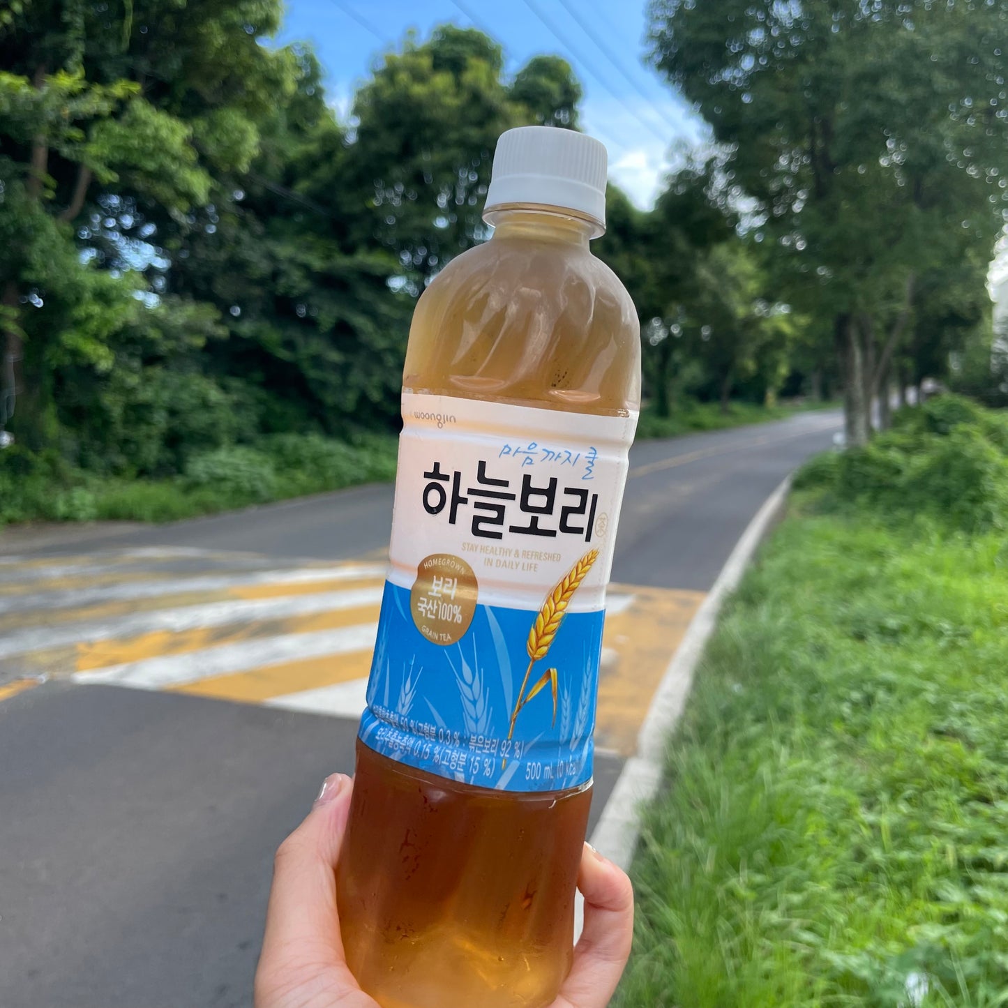 Woongjin Sky Barley Tea Barley 500ml 하늘보리