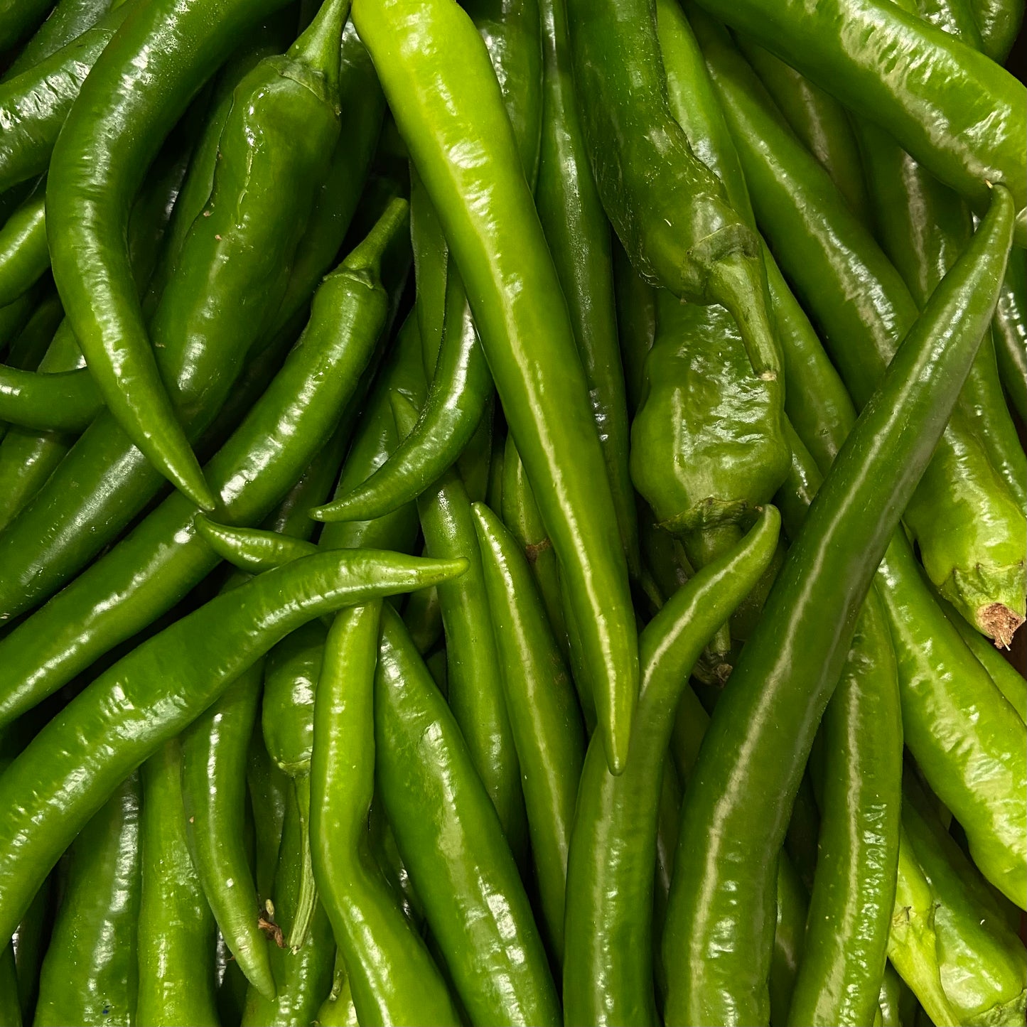 Spicy Green Peppers 1 pack