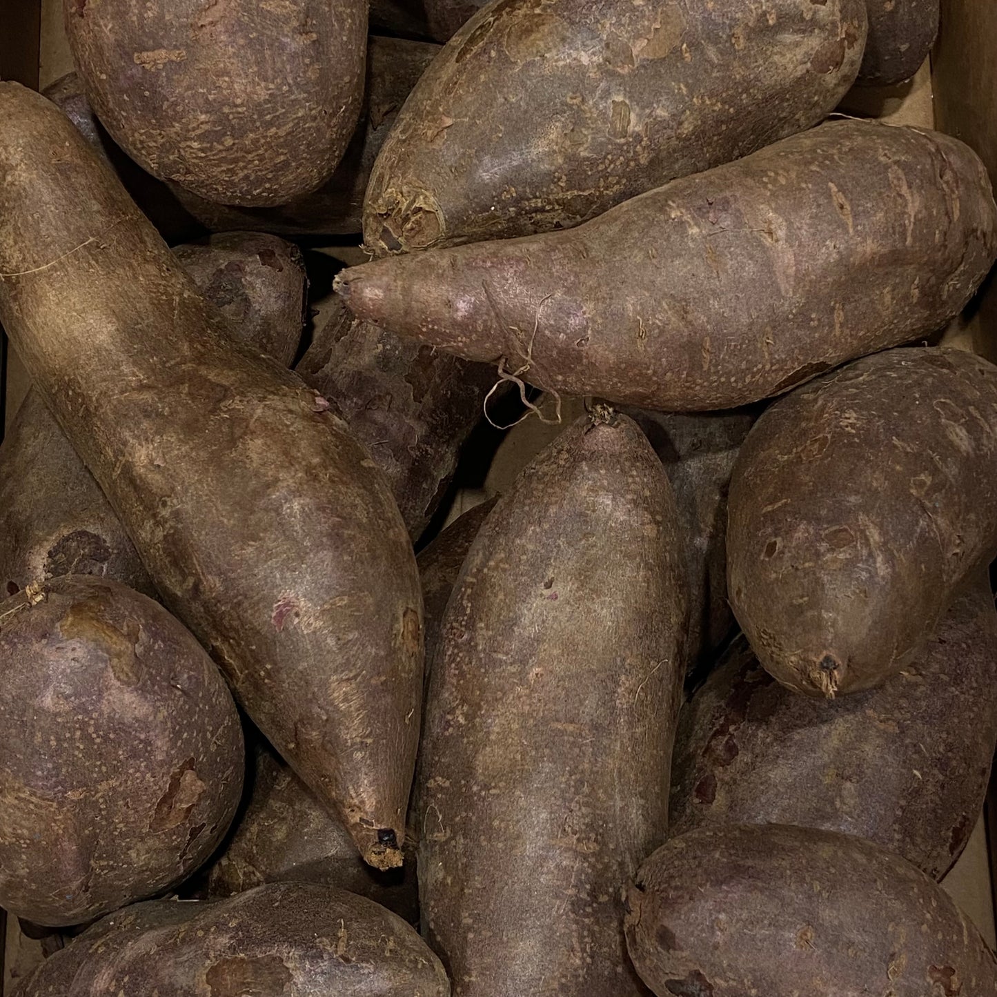 Patate Viola circ 500g