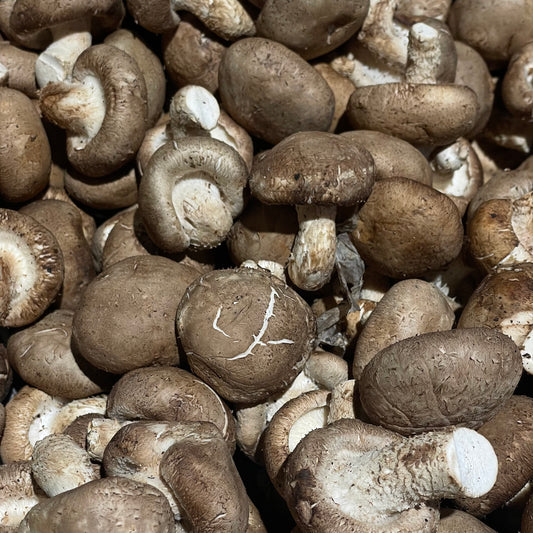 Fresh Shiitake Mushrooms 150g