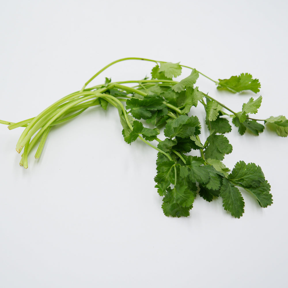 Coriander 1 pack approximately 150g